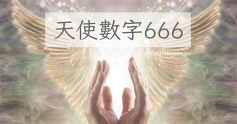 數字66|天使數字66意思｜深入解讀愛情工作含義！66雙生火